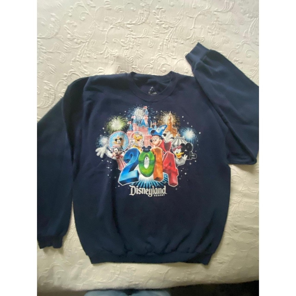 Disneyland 2014 Graphic Sweatshirt Large Disney World Hanes Graphic Unisex s1